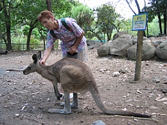 040 Cairns Tropical Zoo
